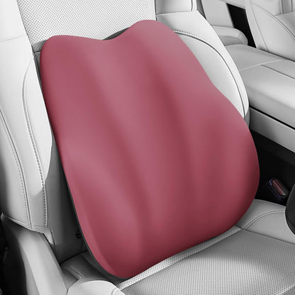 BEBAS Lumbar Support Pillow for Car, Memory Foam Back Cushion for Driving, Ergonomic Lumbar Pillow for Pain Relief, Comfort Lower Back Support for Office Chairs, Car Seat, Wheelchair -Black