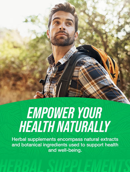 BulkSupplements.com Organic Stinging Nettle Extract Powder - Nettle Leaf Extract, Herbal Supplement - Vegan & Gluten Free, 750mg per Serving, 500g (1.1 lbs) (Pack of 1)