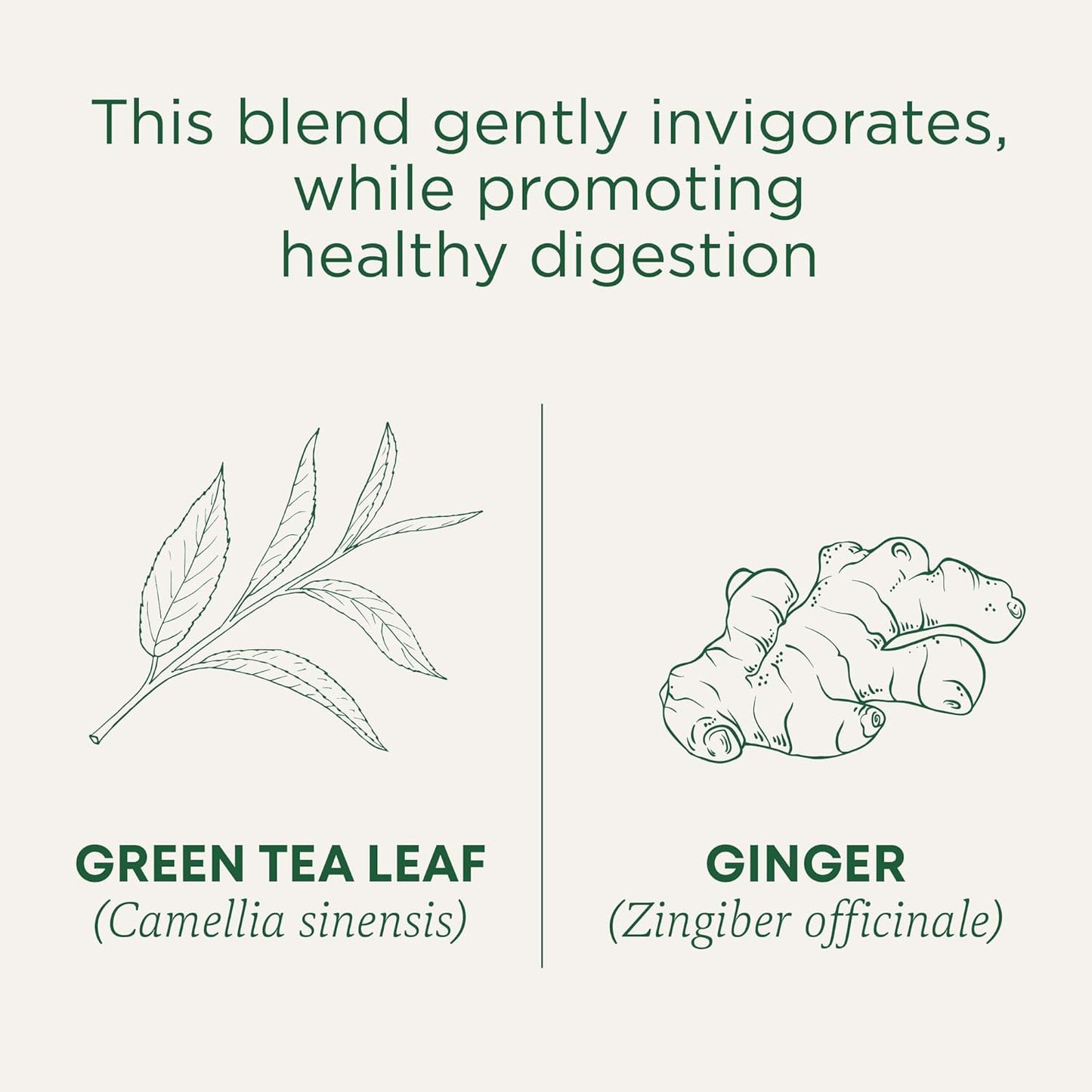 Traditional Medicinals Organic, Hibiscus Tea - Supports Normal Heart Health & Cardiovascular Wellness - Kosher, Non-GMO, Caffeine-Free, Compostable - 16 Tea Bags