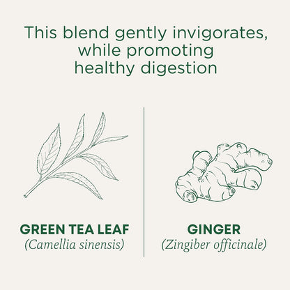 Traditional Medicinals Organic Green Tea Ginger, 16 Tea Bags