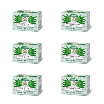 Tadin Eucalyptus Tea, Herbal Tea, Caffeine Free, 24 Tea Bags Per Box, Pack of 6