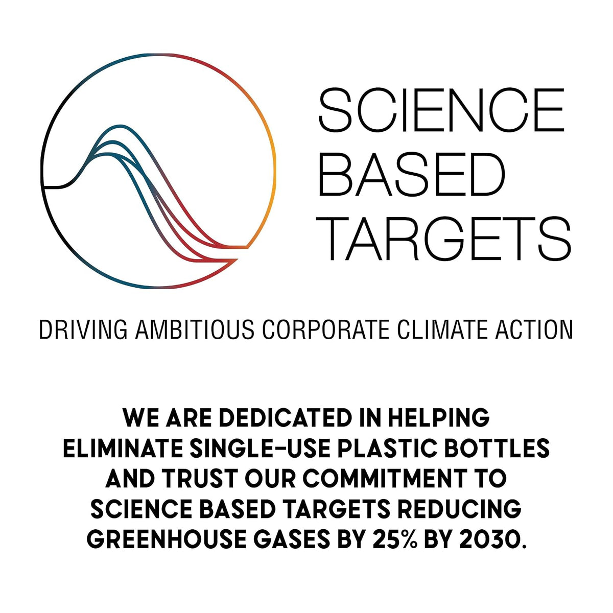 Salada White Tea Delicate White Tea with 40 Individually Wrapped Tea Bags Per Box (Pack of 6) Contains Caffeine Brew Hot Naturally Flavored