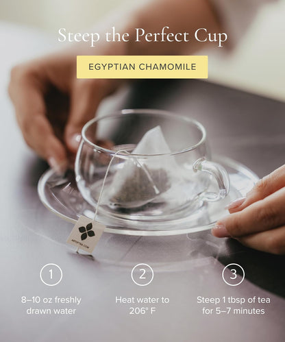 Art of Tea Organic French Lemon Ginger 1.5oz Loose Leaf Tea Tin, Caffeine Free Herbal Tea, Organic Rooibos & Lemongrass Ginger Tea, Premium Loose Leaf Herbal Tea for Relaxation & Digestion