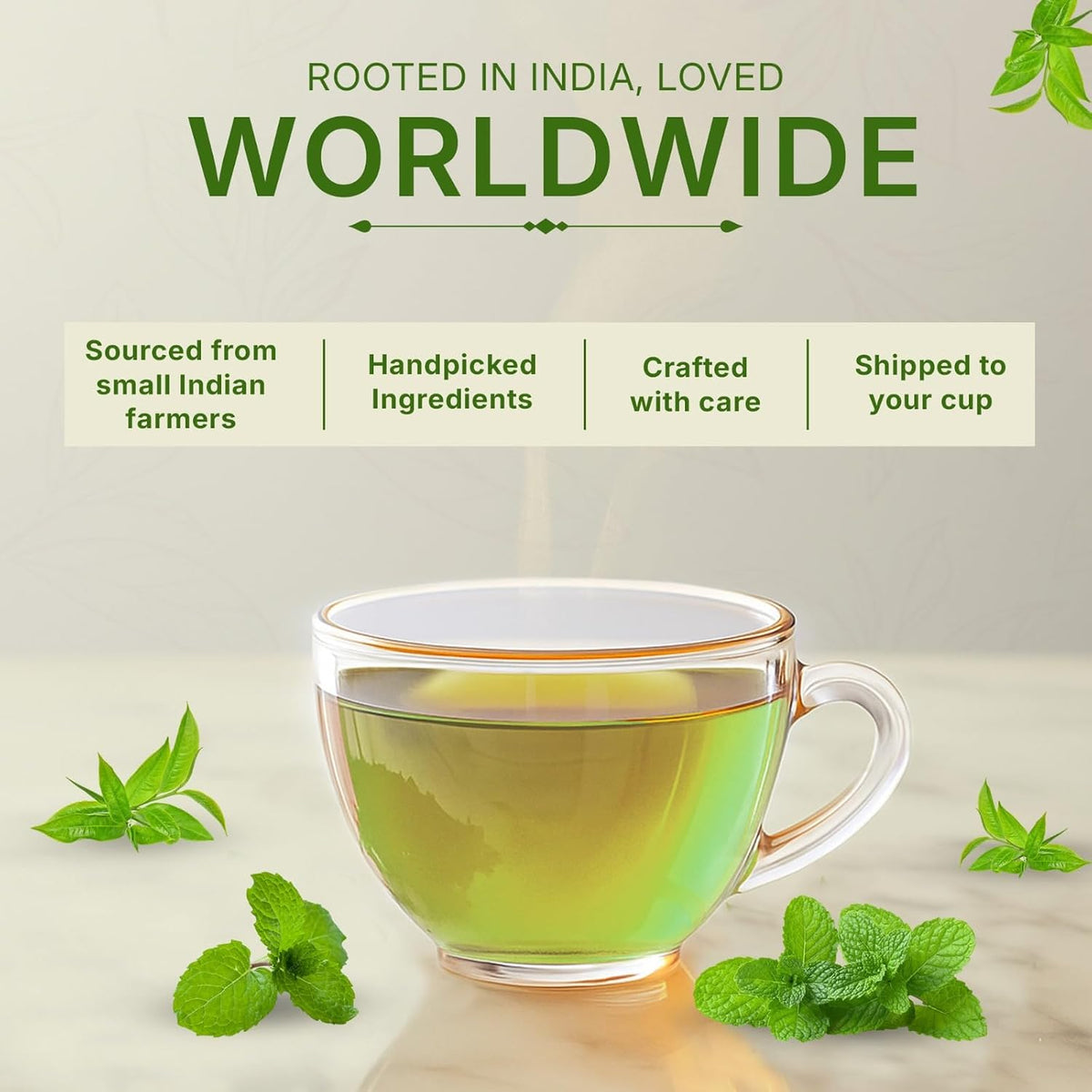 Mint Green Tea (200 gm / 7 oz), Natural Herbal Infusion, 100 Tea Bags