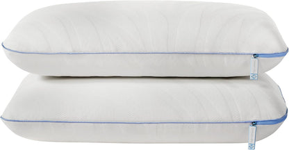 Sealy Dreamlife Queen Size Memory Foam Cooling Pillow with Surface Guard Technology, Removable Machine-Washable Cover, 1 Year Limited Warranty, White (2 Pack)