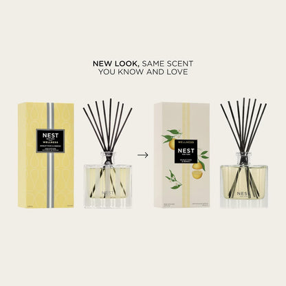 NEST New York Reed Diffuser, Wild Mint & Eucalyptus - 5.9 fl oz - Fragrance for Up to 90 Days - Reusable, Refillable Glass Holder - Includes 8 All-Natural Reed Sticks - Flame Free