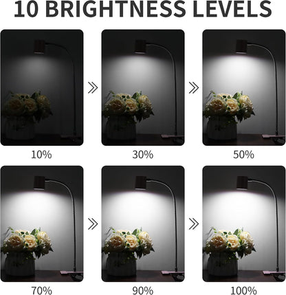 Desk Lamp USB Clip On Light,Book Lights for Reading at Night Clamp Light