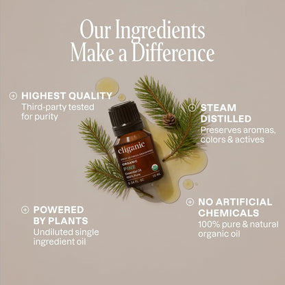 Cliganic Organic Lavender Essential Oil - 100% Pure Natural Undiluted, for Aromatherapy Diffuser | Non-GMO Verified - Colors B