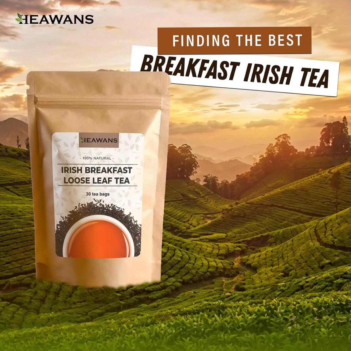 Tea Bags (Irish black tea)