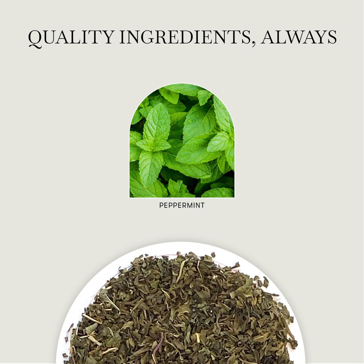 Luxmi Estates Vanilla Peppermint Herbal Tea, 50 Biodegradable Tea Bags (100g, 3.5oz, 50 Cups) | Caffeine-Free Two-Ingredient Blend with Real Peppermint Leaf & Natural Vanilla | Soothing After-Dinner Bulk Pack, Vegan