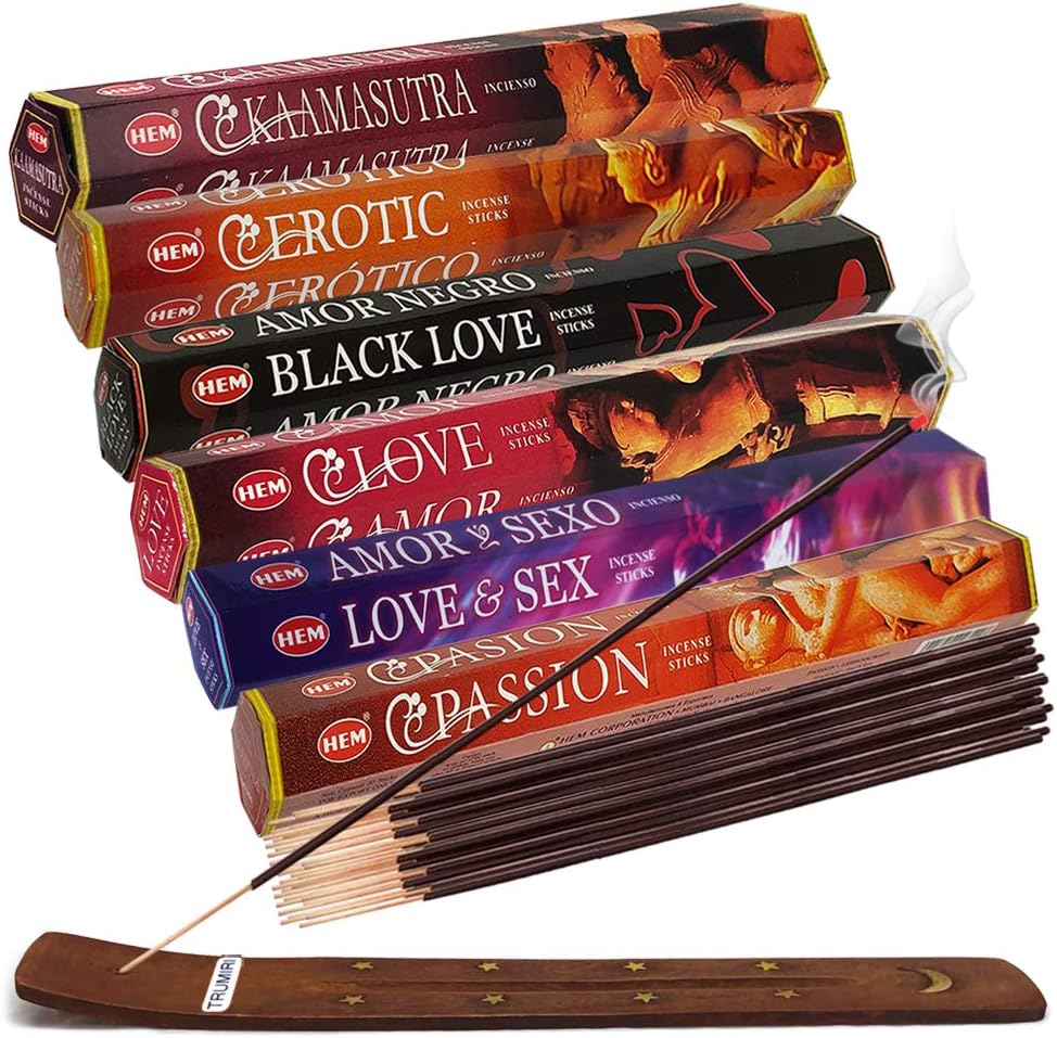 Hem Incense Sticks Variety Pack #23-120 Insence-Sticks (6 Incents x 20 Insense) + Incense Stick Holder with 6 Most Liked Scents Including Patchouli Dragons Blood White Sage Frankincense-Myrrh