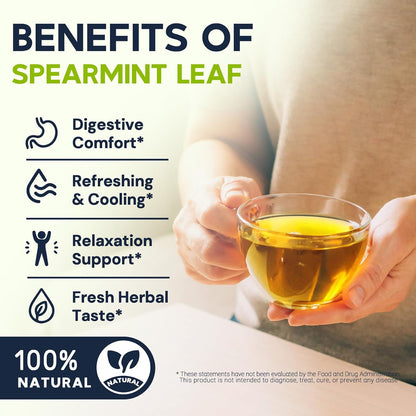 Lemon Balm Tea Bags, Pure & Natural Melissa Officinalis Herbal Tea, Premium Dried Lemon Balm Leaf with Naturally Lemony & Citrusy Flavor, Caffeine-Free, Non-GMO, 100 Count