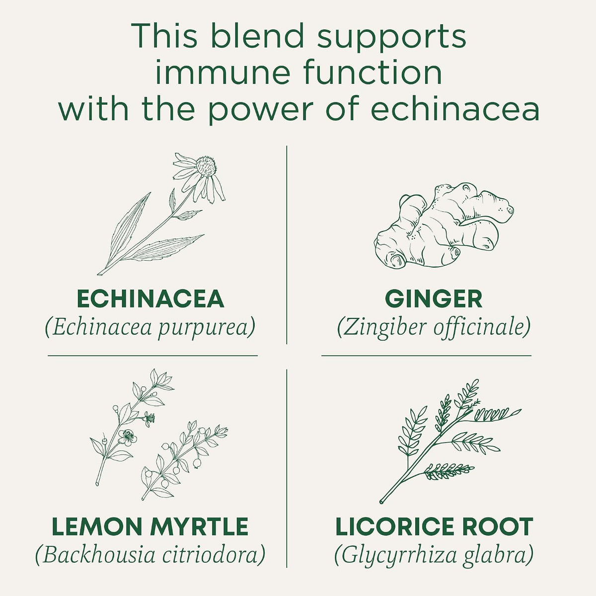 Traditional Medicinals Organic Immune Zoom Lemon Ginger, 16 Tea Bags