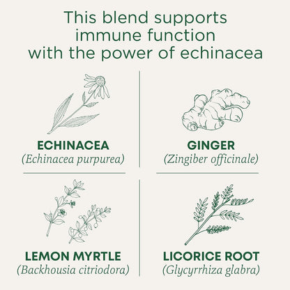 Traditional Medicinals Organic Immune Zoom Lemon Ginger, 16 Tea Bags