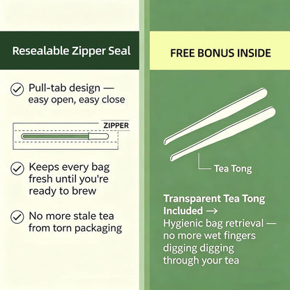 TeaTrail Pure Spearmint Tea – 25 Pyramid Tea Bags, Caffeine-Free Herbal Tea for Digestion & Bloating Relief, 100% Natural Spearmint Leaves, Corn Fiber Compostable Bags, Hot & Iced Brew