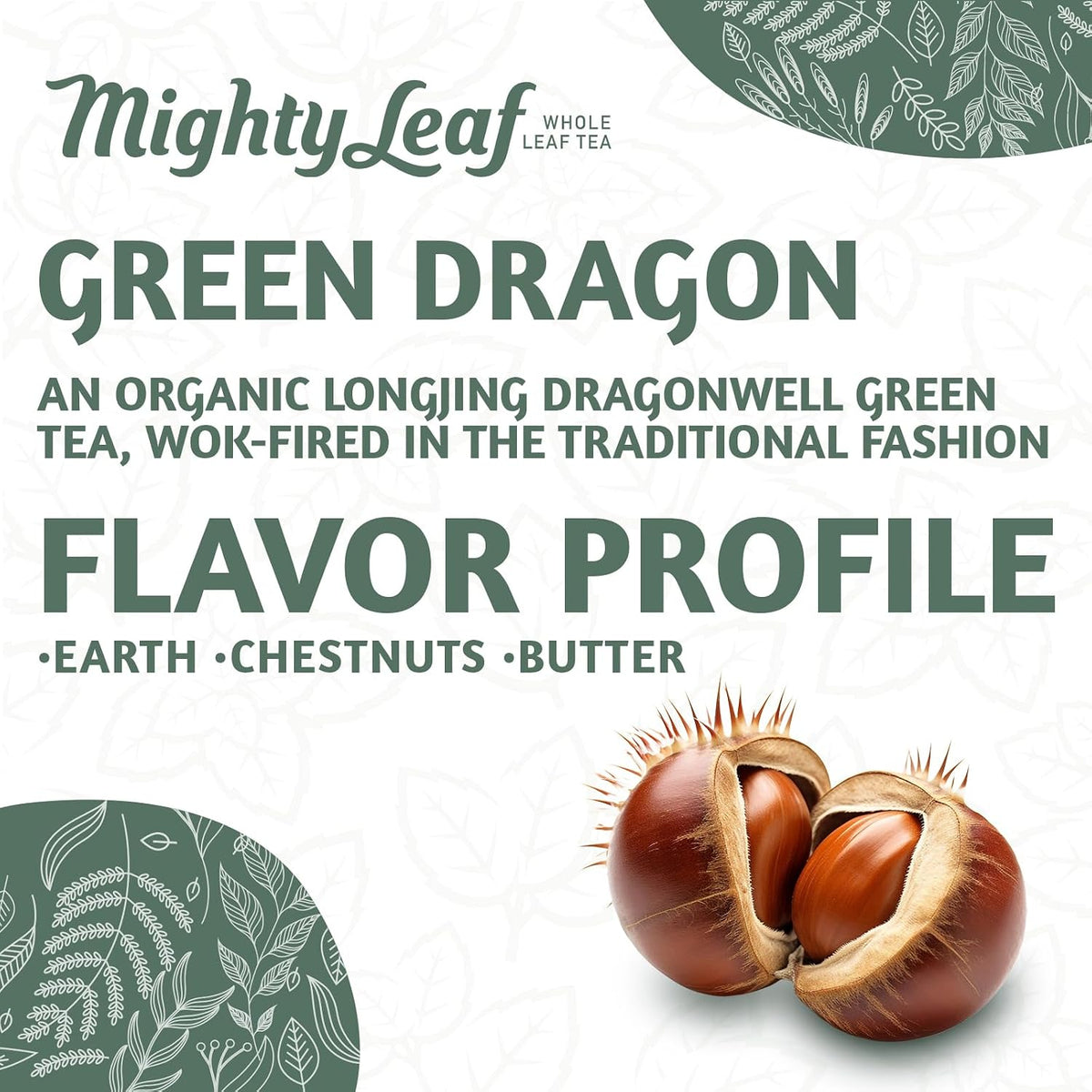 Mighty Leaf Organic Green Dragon Tea – 100 Count Whole Leaf Green Tea Bags – Smooth & Earthy Flavor – Premium Silk Pouches for Wellness and Natural Energy