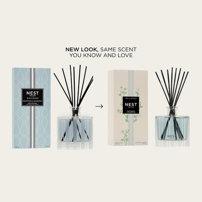 NEST New York Reed Diffuser, Wild Mint & Eucalyptus - 5.9 fl oz - Fragrance for Up to 90 Days - Reusable, Refillable Glass Holder - Includes 8 All-Natural Reed Sticks - Flame Free