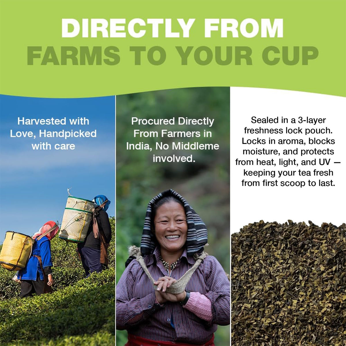 HANDPICK Green Tea Loose Leaf (9oz|127 Cups) Pure Whole Green Tea Leaves