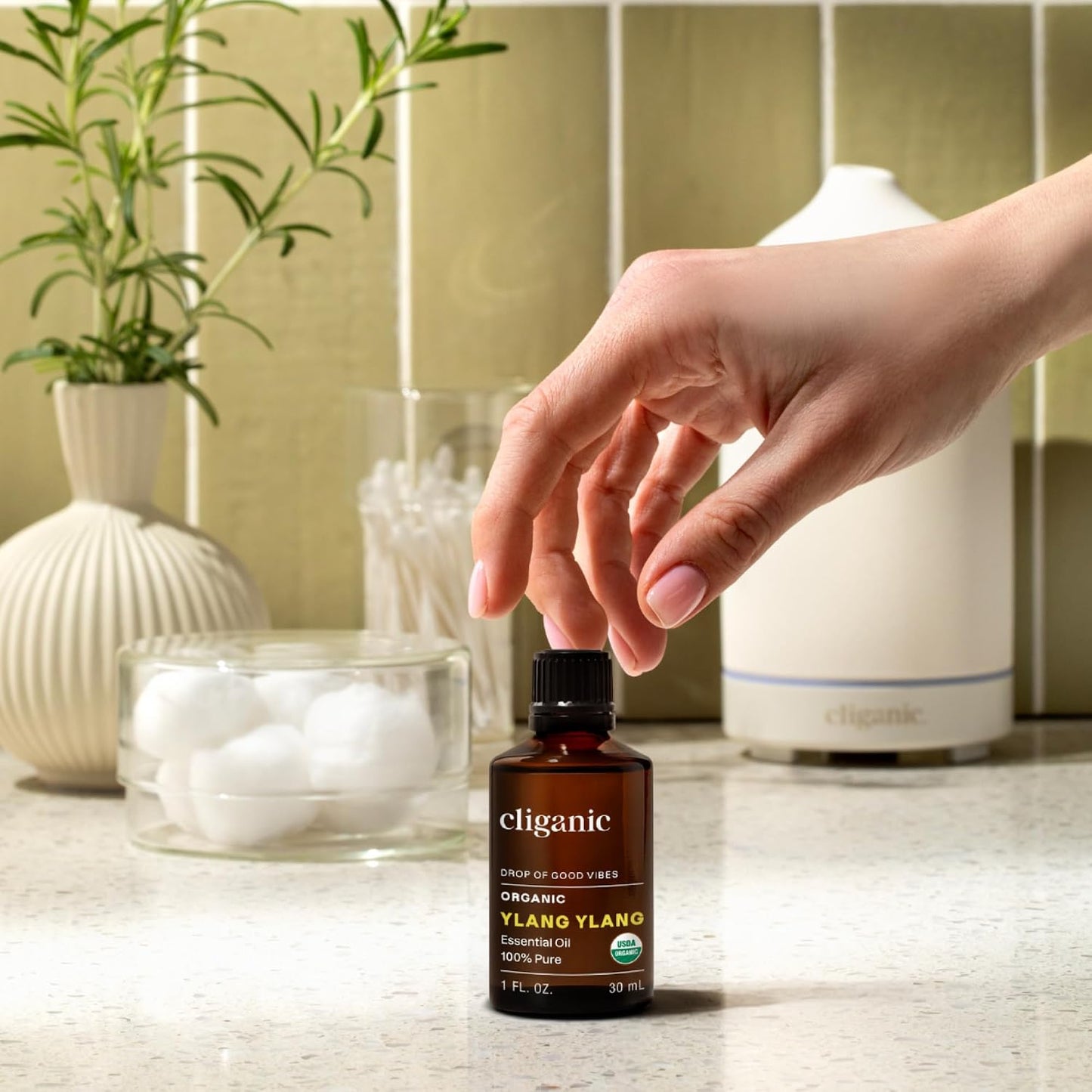 Cliganic Organic Lavender Essential Oil - 100% Pure Natural Undiluted, for Aromatherapy Diffuser | Non-GMO Verified - Colors A