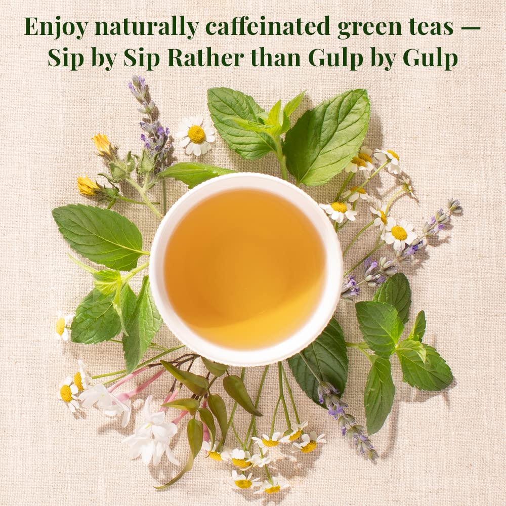 The Republic of Tea Organic Jasmine Green Tea, Low Caffeine, 50 Count