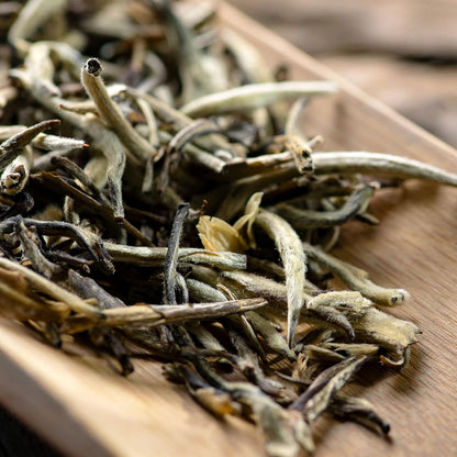 Teavivre Jasmine Silver Needle White Tea (Mo Li Yin Zhen) Loose Leaf Chinese Tea - 3.5oz / 100g