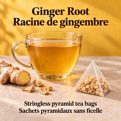 Tozzy Organic Ginger Tea – 100 Count, Plant-Based Pyramid Tea Bags – Packaging May Vary