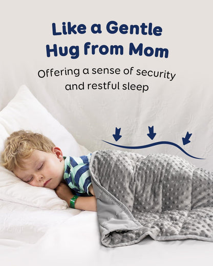 Kivik 2 lbs Weighted Lap Pad, Ultra Soft Minky Dotted Heavy Blankets Throw for Better Study Relaxing & Sleeping, Machine Washable, 20 x 30 Inches, Purple