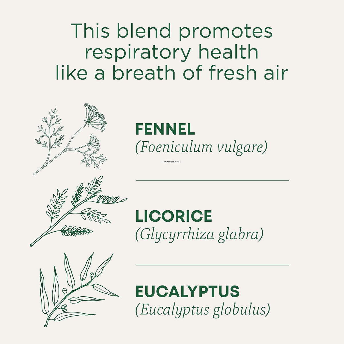 Traditional Medicinals Breathe Easy Eucalyptus Mint, 96 Tea Bags
