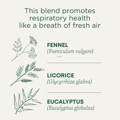 Traditional Medicinals Breathe Easy Eucalyptus Mint, 96 Tea Bags