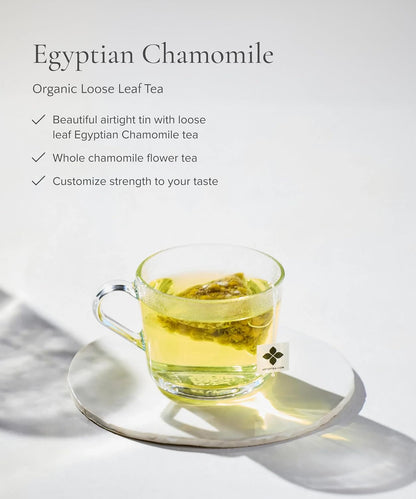 Art of Tea Organic French Lemon Ginger 1.5oz Loose Leaf Tea Tin, Caffeine Free Herbal Tea, Organic Rooibos & Lemongrass Ginger Tea, Premium Loose Leaf Herbal Tea for Relaxation & Digestion