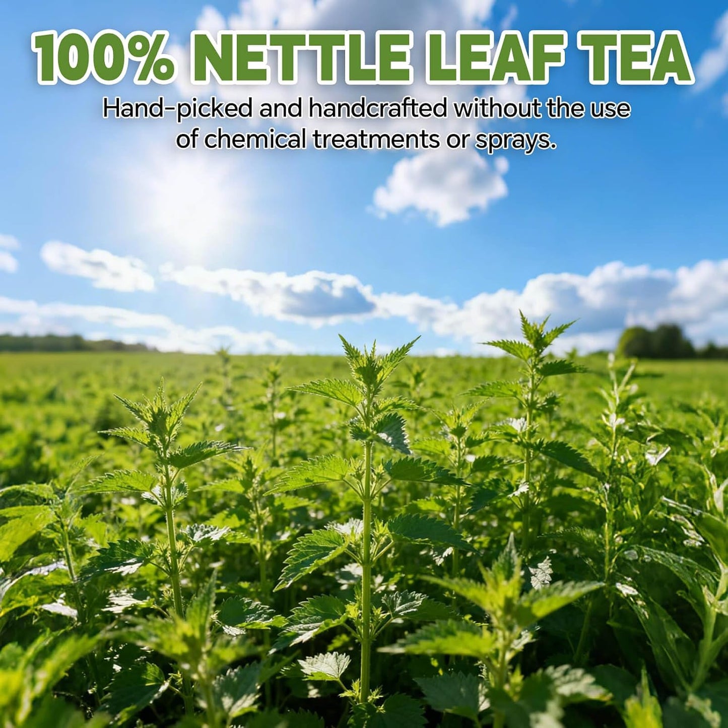 Lemon Balm Leaf Tea Bags-120 Tea Bags (2g/Bag), Made with 100% Natural Lemon Balm Leaves | Helps with Digestion and Antioxidation | Caffeine-Free | Sugar-Free | Gluten-Free | Vegan | Eco-Friendly Tea Bags