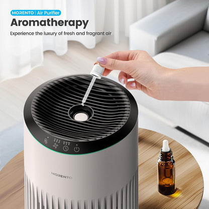 Air Purifiers for Bedroom Home for Smoke Pet Dander Odors 2 Pack Ivory