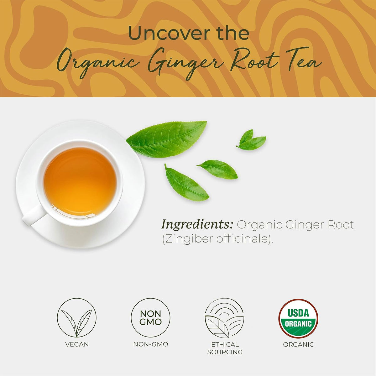 Starwest Botanicals Organic Ginger Root Tea, Non GMO - Bulk Pack, 100 Bags
