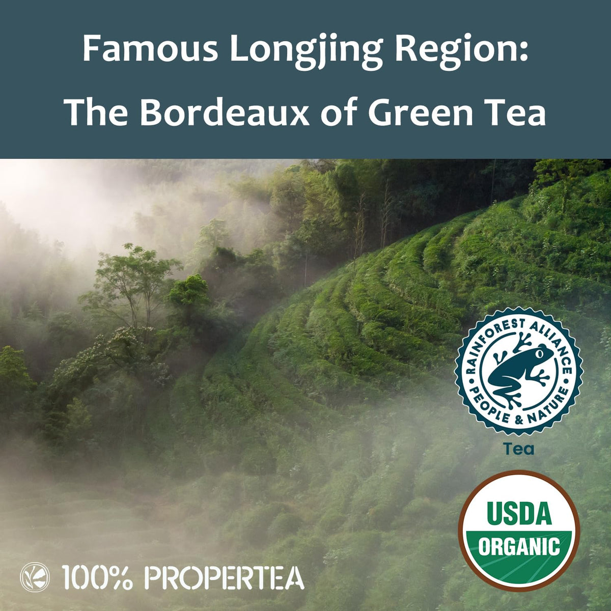 100% Propertea Organic Green Tea Bags Classic, 100 Tea Bags, Smooth