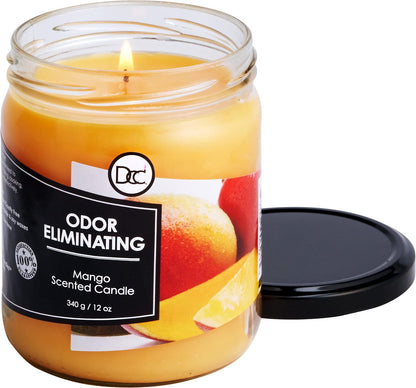 Vanilla Bean Odor Eliminating Highly Fragranced Candle - Eliminates 95% of Pet, Smoke, Food, and Other Smells Quickly - Up to 80 Hour Burn time - 12 Ounce Premium Soy Blend - Colors B