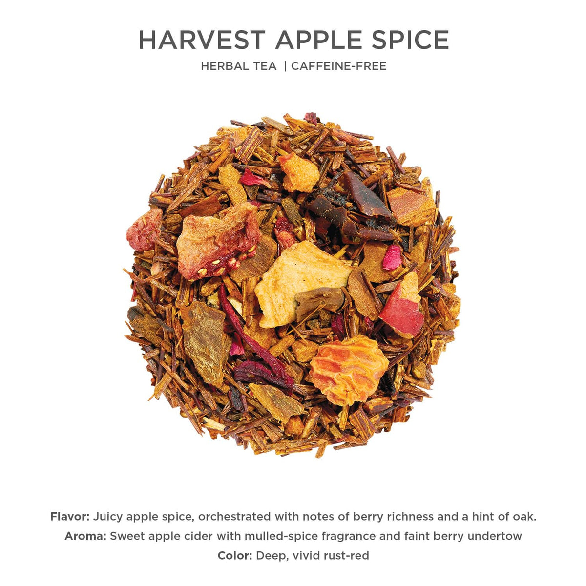 Tea Forte Harvest Apple Spice Loose Leaf Tea Canister