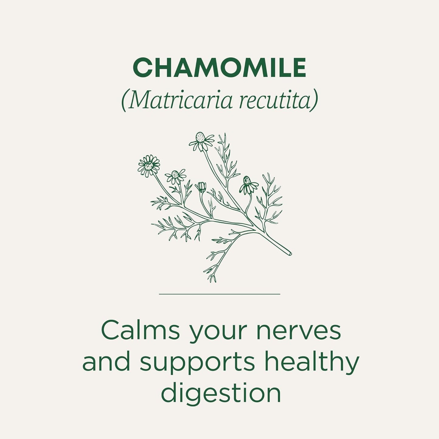 Traditional Medicinals Organic, Chamomile Tea - Supports Stress Relief and Relaxation - Kosher, Non-GMO, Caffeine-Free, Compostable - 16 Tea Bags