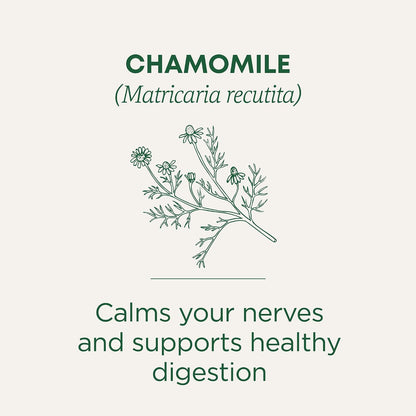 Traditional Medicinals Organic Chamomile, 96 Tea Bags
