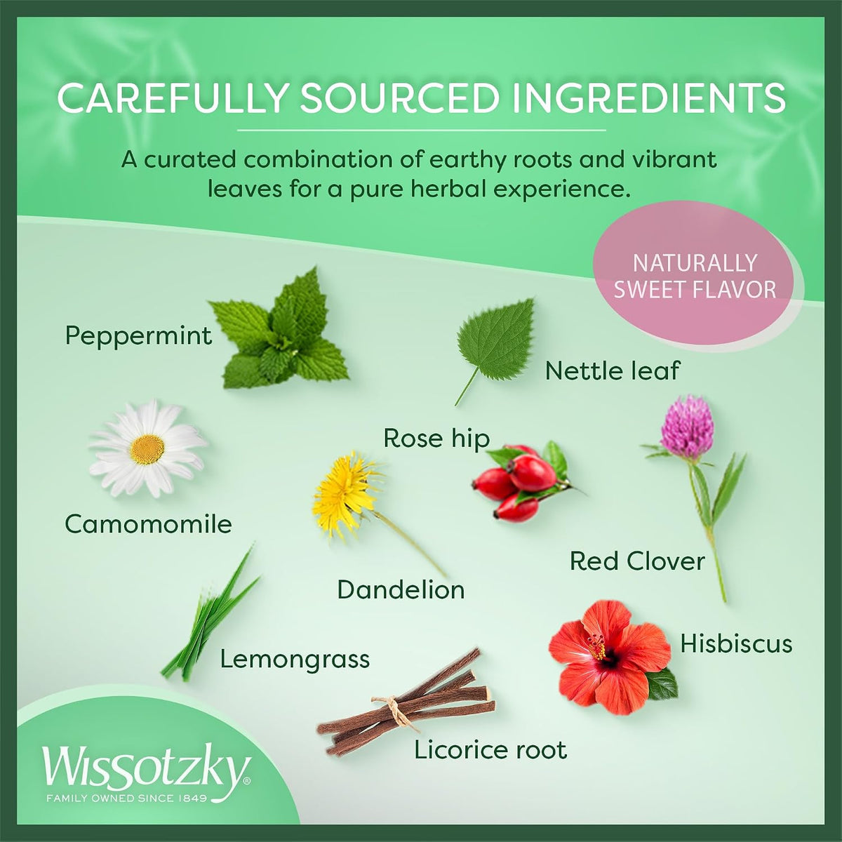 Wissotzky Wellness Detox Herbal Tea, 20 Tea Bags | Caffeine Free | Natural Cleansing Support | With Peppermint, Nettle, Dandelion & Licorice | Herbal Tea for Gentle Detox & Wellness
