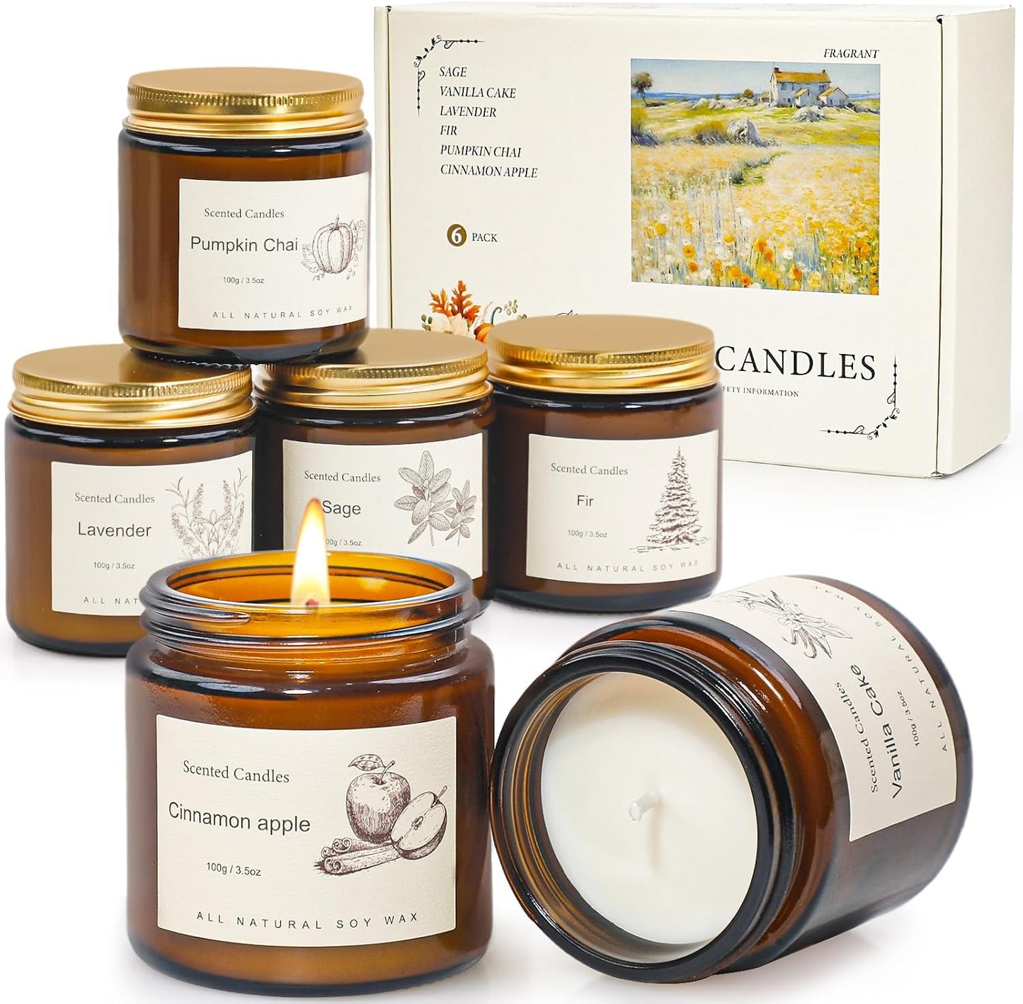 6-Pack Scented Candles for Home, 3.5 Oz Soy Wax Aromatherapy Candle Gift Set, Lavender Chamomile, Eucalyptus Mint & Vanilla, Birthday Gifts for Women, Thank You Graduation Gifts