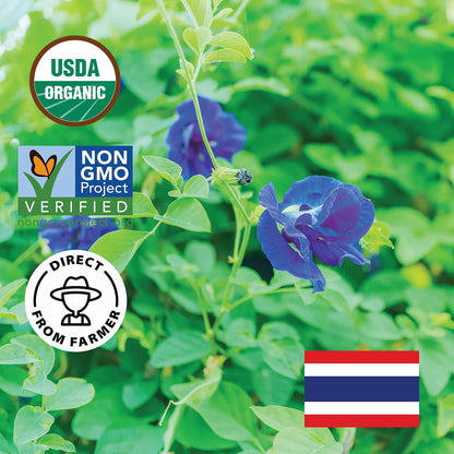 INCAS 100% USDA Organic Butterfly Pea Flower 1.76 oz (150+ Cups) DIRECT FROM SOURCE Thailand Non GMO Verified Dried Caffeine Free Gluten Free Vegan Rich in Antioxidants Free eBook (50G)