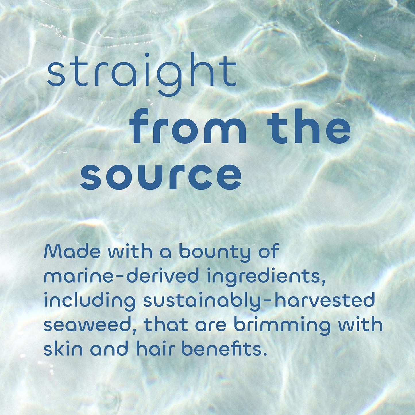 Seaweed Bath Co. Calm Body Scrub, Vetiver Geranium Scent, 6 Ounce, Sustainably Harvested Seaweed, Sea Kelp, Glycolic Acid
