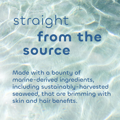 Seaweed Bath Co. Calm Body Scrub, Vetiver Geranium Scent, 6 Ounce, Sustainably Harvested Seaweed, Sea Kelp, Glycolic Acid