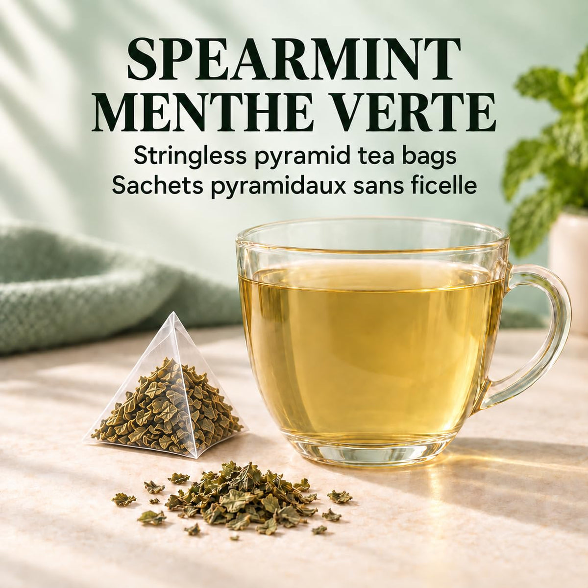 Tozzy Organic Spearmint Tea – 100 Count, Plant-Based Pyramid Tea Bags – Packaging May Vary