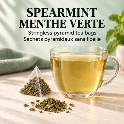 Tozzy Organic Spearmint Tea – 100 Count, Plant-Based Pyramid Tea Bags – Packaging May Vary