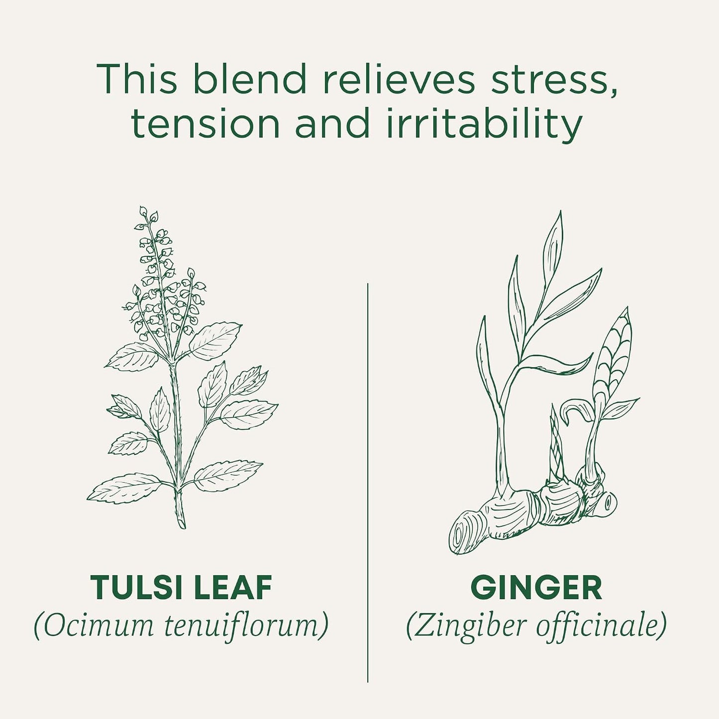 Traditional Medicinals Organic Chamomile with Lavender Herbal Tea (Pack of 1), Calms the Nervous System, 16 Tea Bags