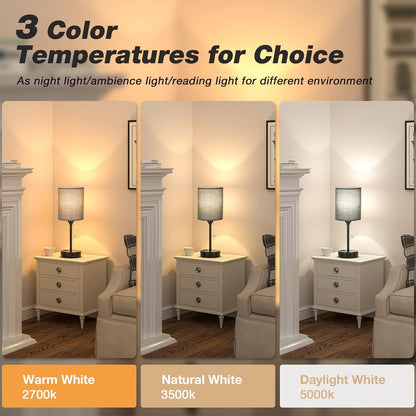 Small Bedside Table lamp for Bedroom - 3 Color Temperatures Bedside Lamps with USB C and A Ports, Pull Chain Table Lamps with AC Outlet, White Nightstand Lamps with Black Metal Base for Kids Reading