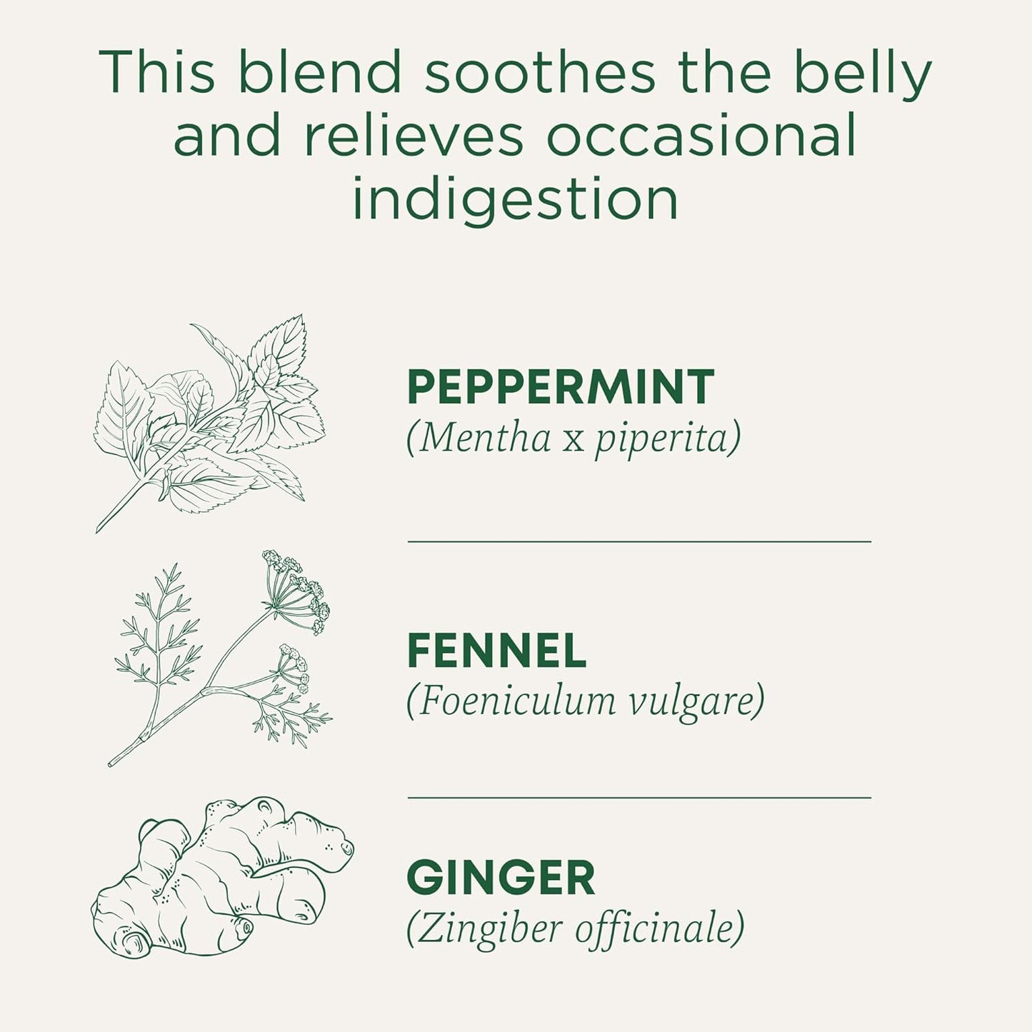 Traditional Medicinals Tea, Organic Triple Mint - Supports Healthy Digestion - Kosher, Non-GMO, Caffeine-Free - 16 Tea Bags