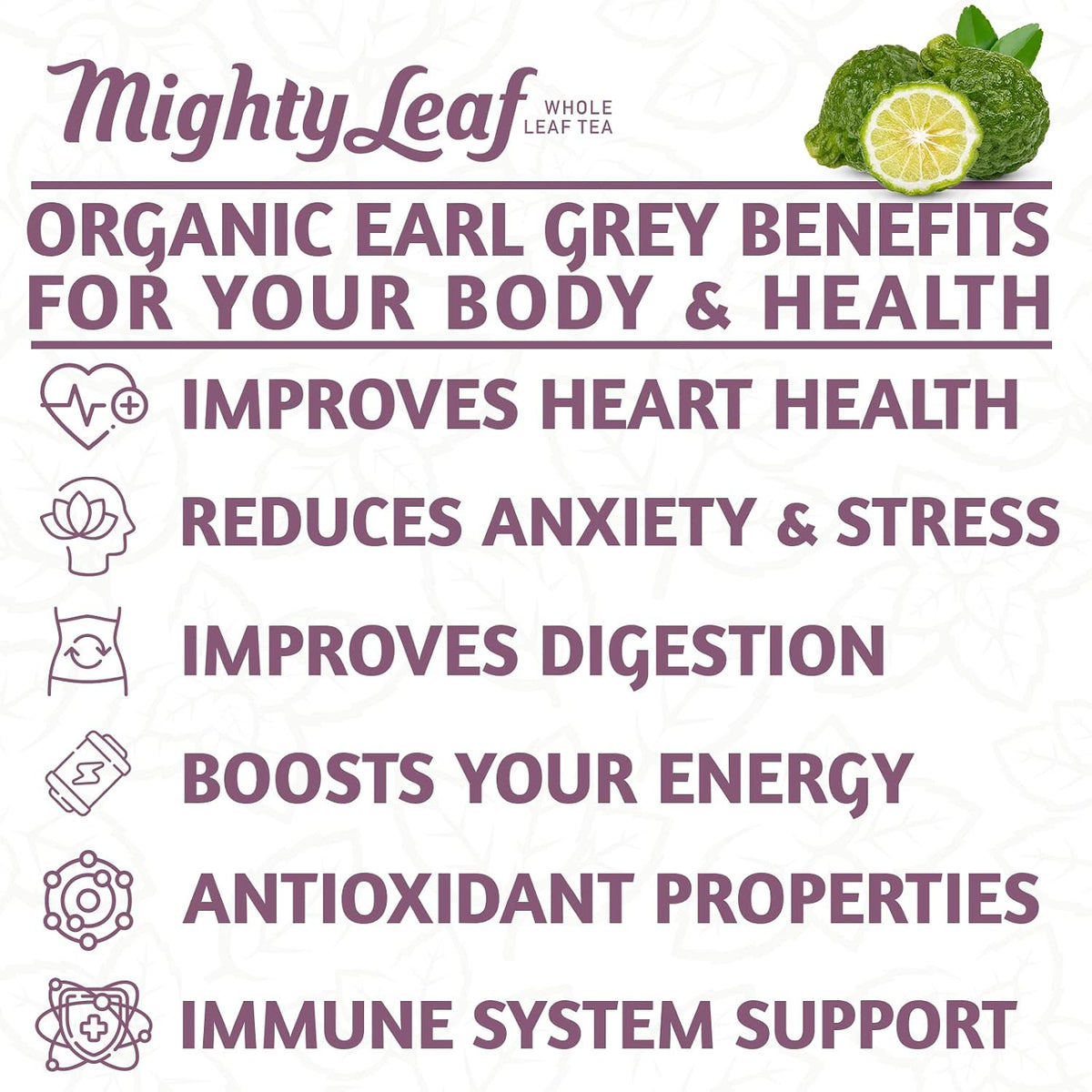 Mighty Leaf Organic Earl Grey Tea – 100 Count Whole Leaf Tea Pouches – Black Tea with Bergamot – Premium Caffeinated Tea Bags – USDA Organic Certified