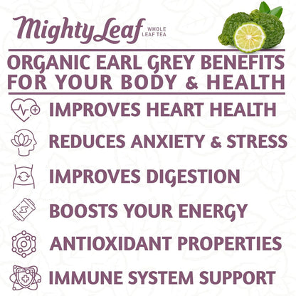 Mighty Leaf Organic Earl Grey Tea – 100 Count Whole Leaf Tea Pouches – Black Tea with Bergamot – Premium Caffeinated Tea Bags – USDA Organic Certified